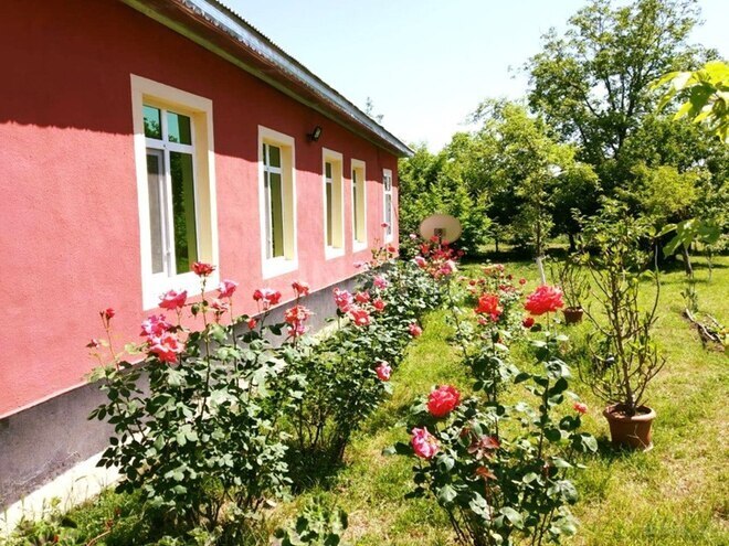 4 otaqlı həyət evi/bağ evi - Qəbələ - 120 m² (6)