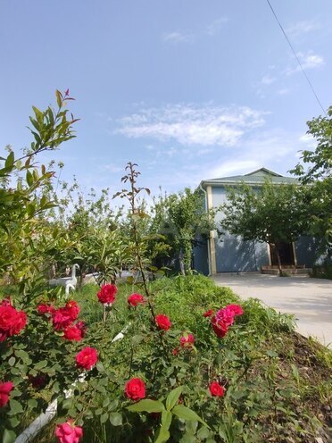 3 otaqlı həyət evi/bağ evi - İsmayıllı - 90 m² (3)