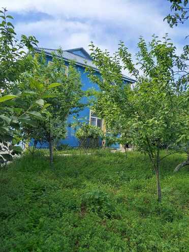3 otaqlı həyət evi/bağ evi - İsmayıllı - 90 m² (16)
