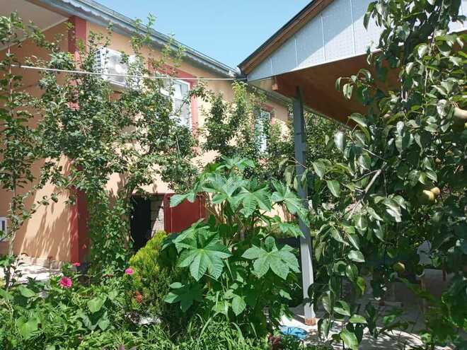3 otaqlı həyət evi/bağ evi - İsmayıllı - 90 m² (23)
