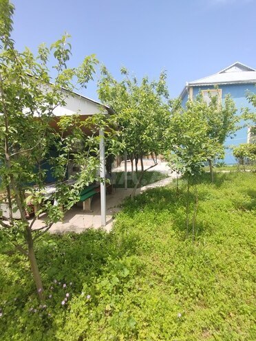 3 otaqlı həyət evi/bağ evi - İsmayıllı - 90 m² (17)