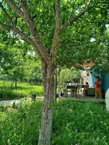 3 otaqlı həyət evi/bağ evi - İsmayıllı - 90 m² (15)