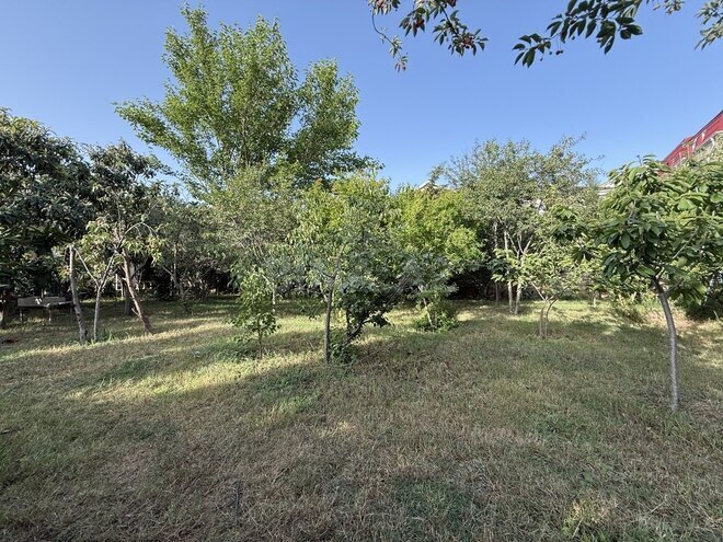 10 otaqlı həyət evi/bağ evi - Bülbülə q. - 408 m² (29)