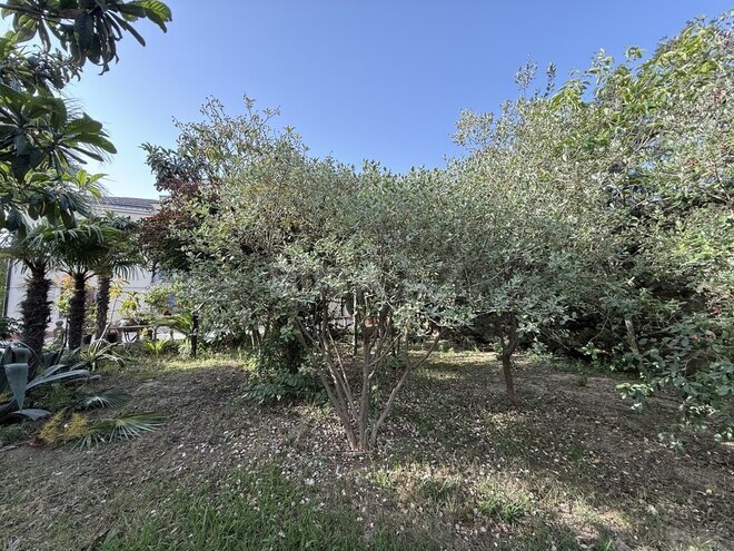 10 otaqlı həyət evi/bağ evi - Bülbülə q. - 408 m² (15)