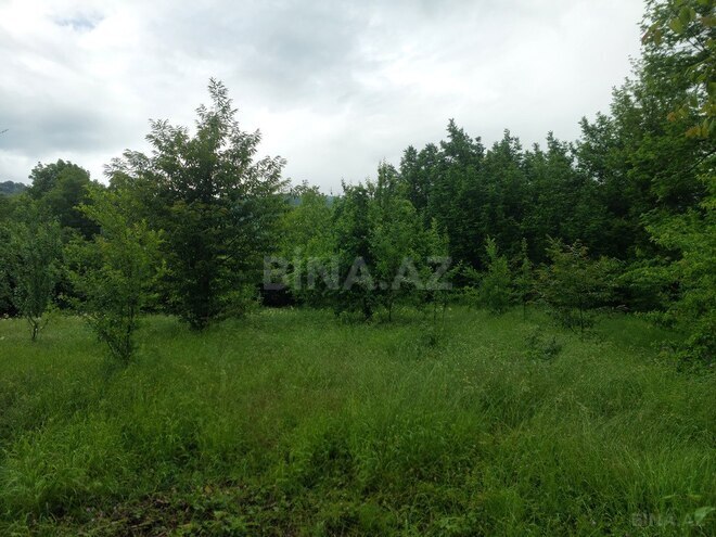 Участок - Габала - 27 сот (4)