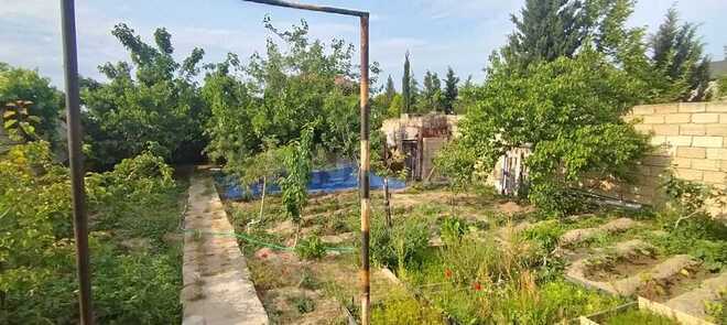 6 otaqlı həyət evi/bağ evi - Saray q. - 320 m² (5)