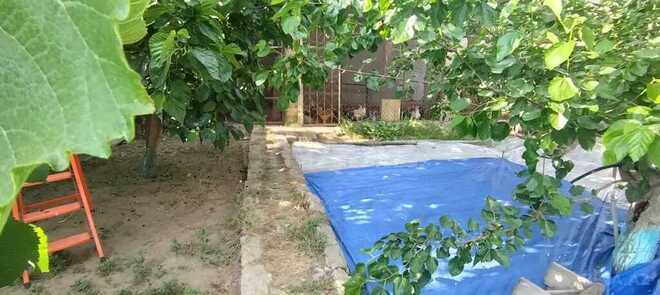 6 otaqlı həyət evi/bağ evi - Saray q. - 320 m² (30)