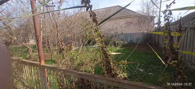4 otaqlı həyət evi/bağ evi - Sabirabad - 200 m² (4)