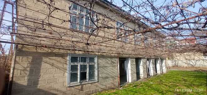 4 otaqlı həyət evi/bağ evi - Sabirabad - 200 m² (1)
