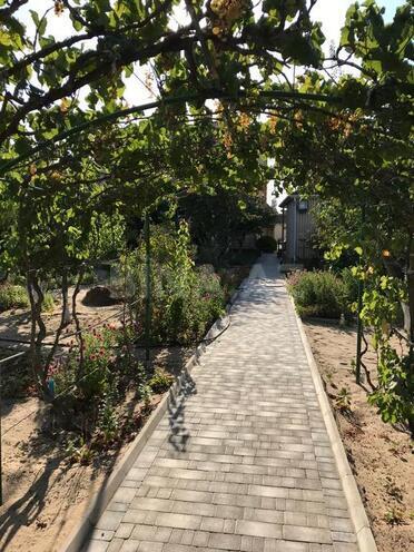 8 otaqlı həyət evi/bağ evi - Sumqayıt - 260.2 m² (10)