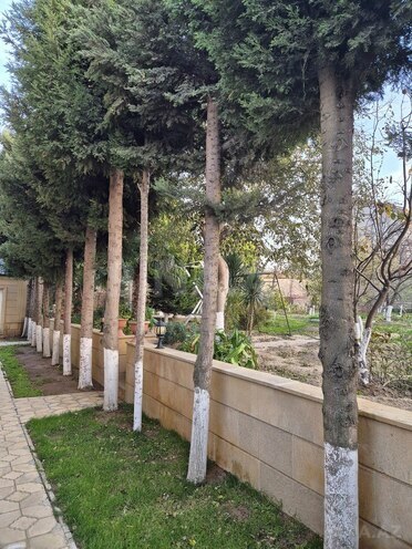 8 otaqlı həyət evi/bağ evi - Novxanı q. - 320 m² (7)