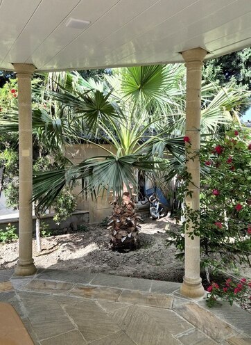 8 otaqlı həyət evi/bağ evi - Novxanı q. - 320 m² (26)