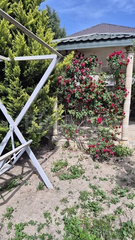 8 otaqlı həyət evi/bağ evi - Novxanı q. - 320 m² (23)