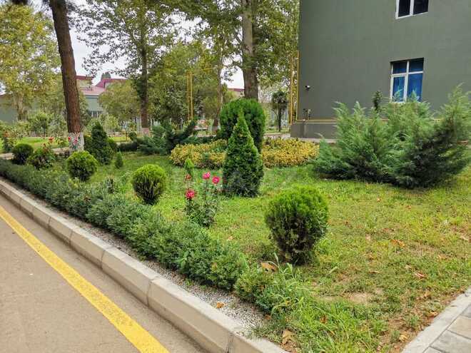 Obyekt - Gəncə - 1500 m² (1)