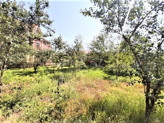 7 otaqlı həyət evi/bağ evi - Şamaxı - 400 m² (25)