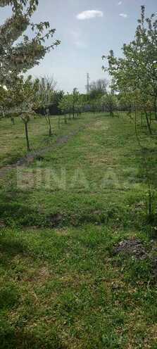 3 otaqlı həyət evi/bağ evi - Xaçmaz - 140 m² (4)