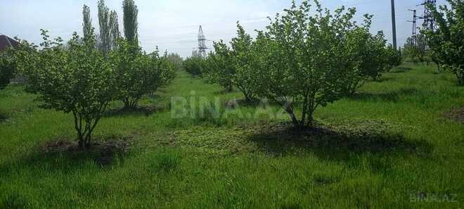 3 otaqlı həyət evi/bağ evi - Xaçmaz - 140 m² (25)