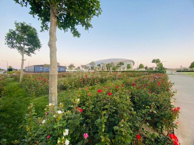 2 otaqlı yeni tikili - Bayıl q. - 74 m² (17)