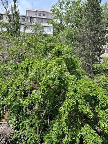 3-комн. вторичка - Насиминский  р. - 80 м² (15)