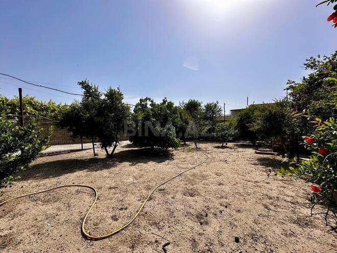 Продаётся 3-комн. дом/дача 100 м², пос. Мардакан, photo 6 from 13