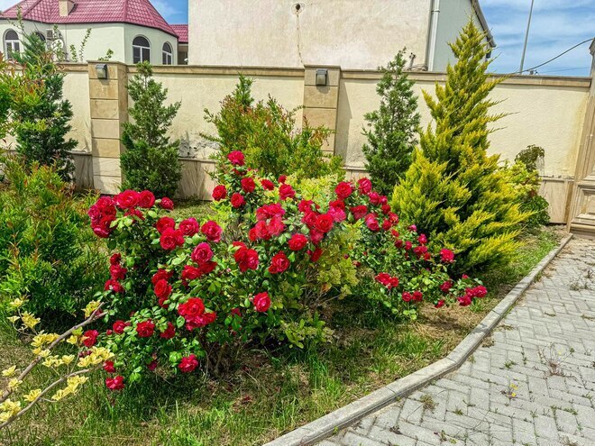 6-комн. дом/дача - пос. Мардакан - 500 м² (5)