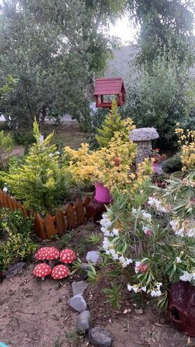 7 otaqlı həyət evi/bağ evi - Şüvəlan q. - 240 m² (26)