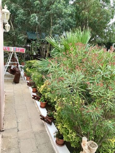 7 otaqlı həyət evi/bağ evi - Şüvəlan q. - 240 m² (29)