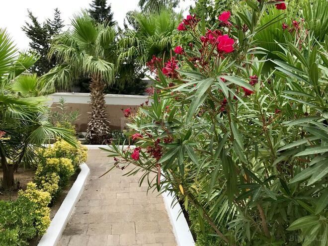 7 otaqlı həyət evi/bağ evi - Şüvəlan q. - 240 m² (11)