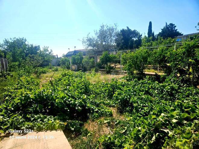 6 otaqlı həyət evi/bağ evi - Mərdəkan q. - 450 m² (14)