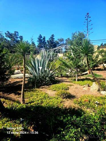 6 otaqlı həyət evi/bağ evi - Mərdəkan q. - 450 m² (16)