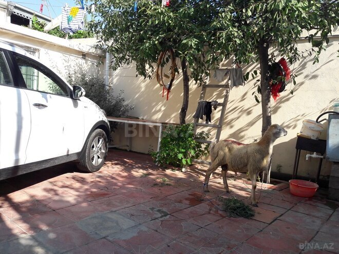 10 otaqlı həyət evi/bağ evi - Bayıl q. - 210 m² (15)