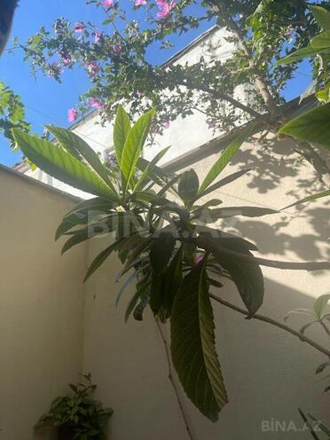 6 otaqlı həyət evi/bağ evi - Sahil m. - 175 m² (7)