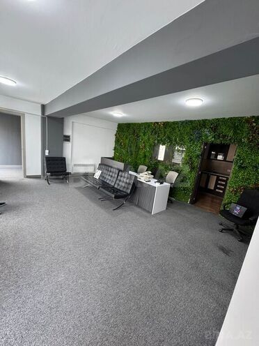 9-комн. офис - м. Шах Исмаил Хатаи - 350 м² (2)