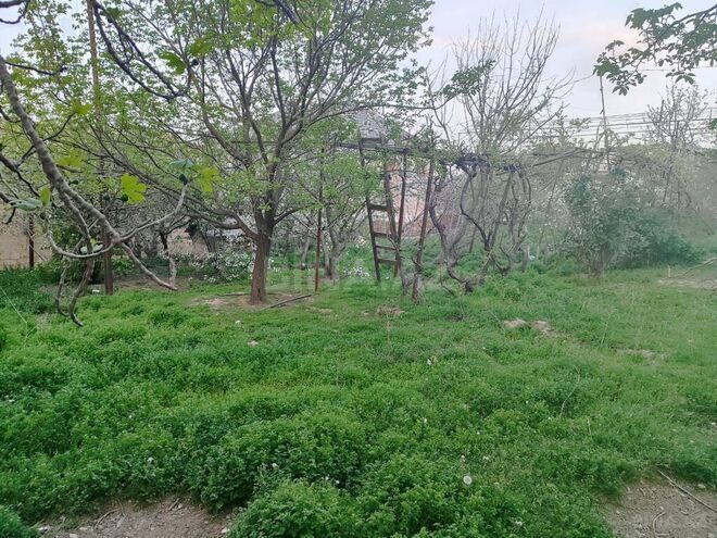 Torpaq - Sulutəpə q. - 7 sot (5)
