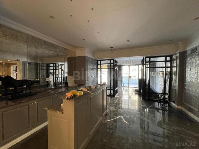 Obyekt - Elmlər Akademiyası m. - 650 m² (12)