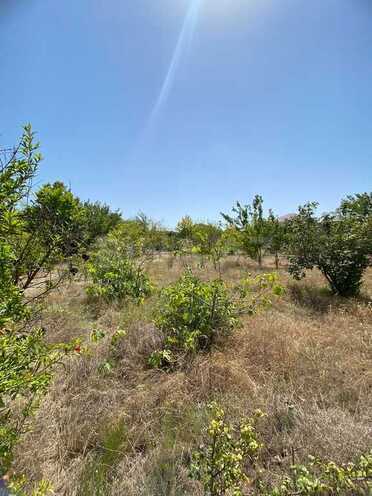 7 otaqlı həyət evi/bağ evi - Novxanı q. - 300 m² (6)