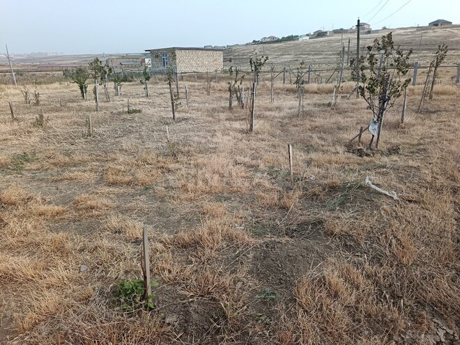 Torpaq - Saray q. - 6 sot (2)