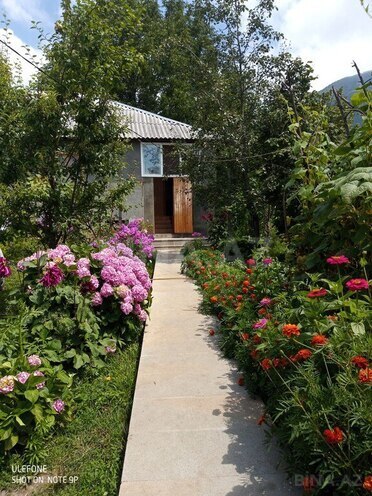 3 otaqlı həyət evi/bağ evi - Qəbələ - 180 m² (1)