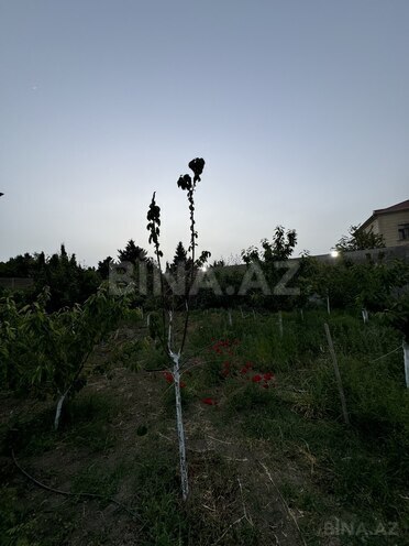 4 otaqlı həyət evi/bağ evi - Mərdəkan q. - 200 m² (6)
