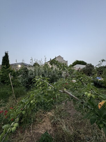 4 otaqlı həyət evi/bağ evi - Mərdəkan q. - 200 m² (15)