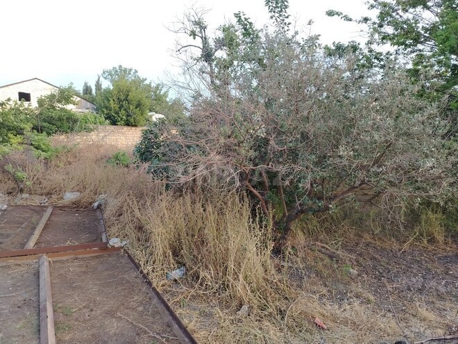 Продаётся  участок 4 сот, м. Ахмедлы, photo 4 from 6