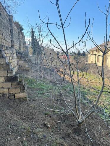 7 otaqlı həyət evi/bağ evi - Novxanı q. - 280 m² (11)