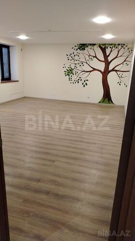 12 otaqlı ofis - Nəsimi r. - 300 m² (1)