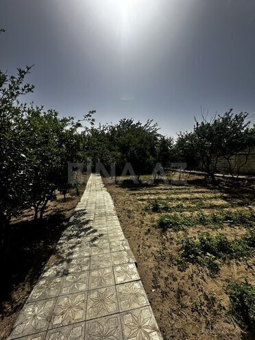4 otaqlı həyət evi/bağ evi - Novxanı q. - 130 m² (5)