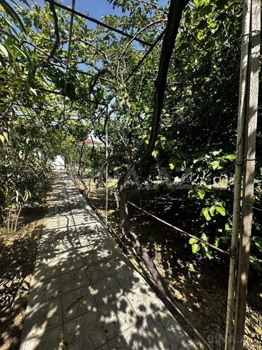 4 otaqlı həyət evi/bağ evi - Novxanı q. - 130 m² (2)