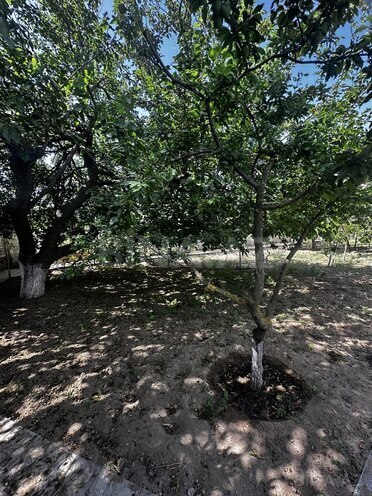 4 otaqlı həyət evi/bağ evi - Novxanı q. - 130 m² (4)