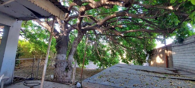 3 otaqlı həyət evi/bağ evi - Şüvəlan q. - 100 m² (2)