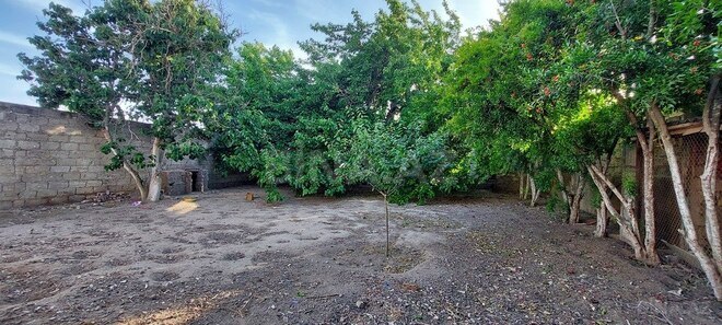 3 otaqlı həyət evi/bağ evi - Şüvəlan q. - 100 m² (3)