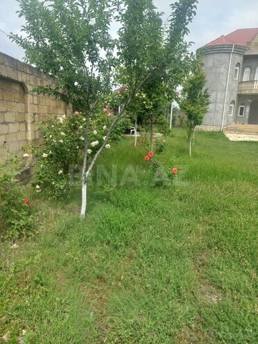 12-комн. дом/дача - Исмаиллы - 500 м² (9)