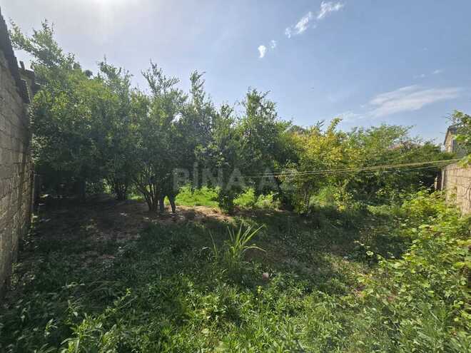 3 otaqlı həyət evi/bağ evi - Binə q. - 120 m² (4)